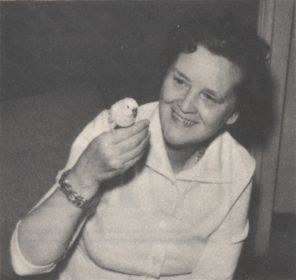 Zum Forum hier klicken!